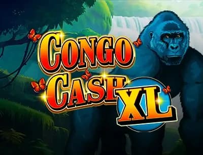Congo Cash XL
